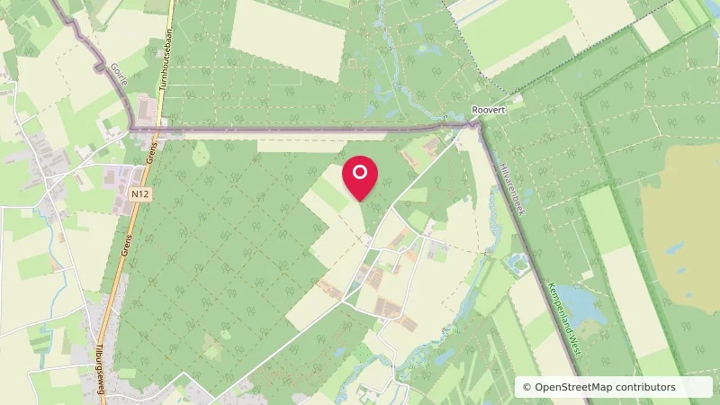 Molenheide Poppel
