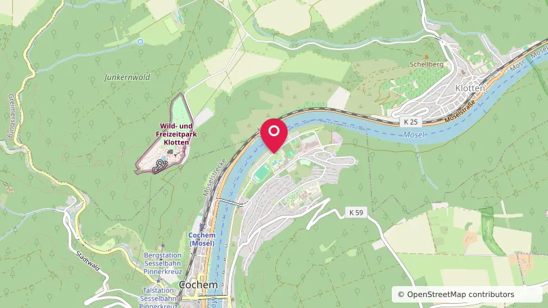 Mosel Camping Cochem