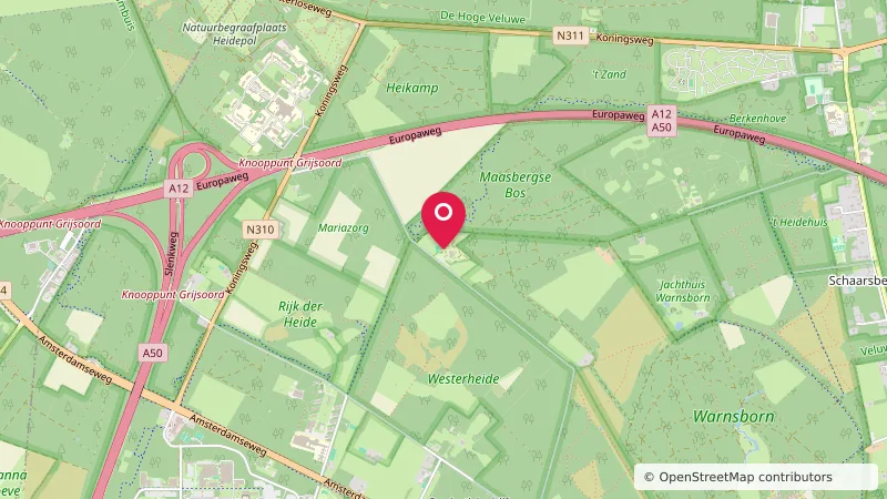Nieuwe Maesberg