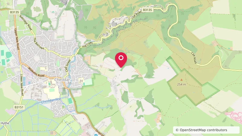 Owley Woods Glamping