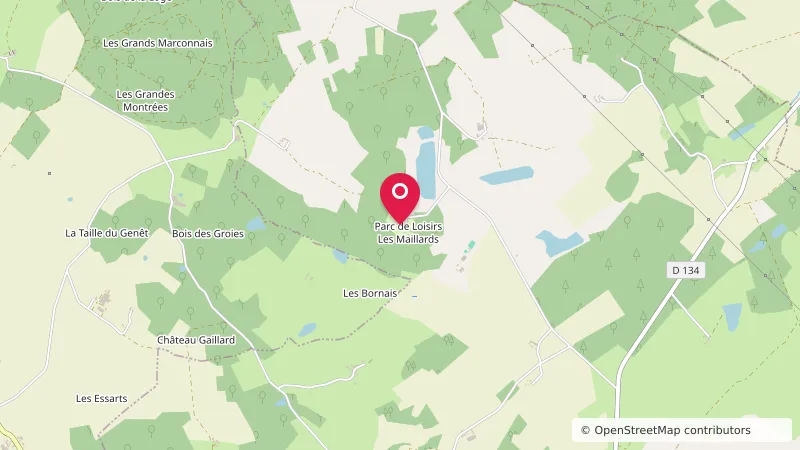 Parc de Loisirs "LES Maillards" Camping