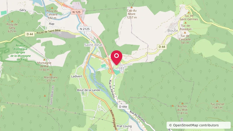 Passus Lupi Camping