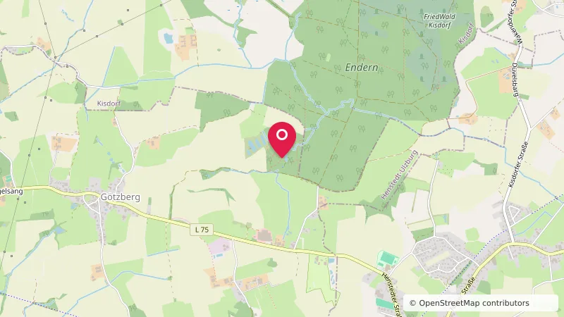 Pfadfinder Stamm St. Johannes Henstedt