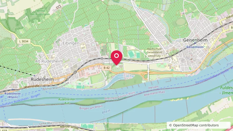 Reisemobilstellplatz Rheingau-Bad