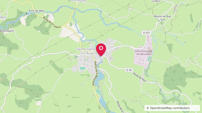 Sainte-Geneviève-sur-Argence Aire de Camping-car