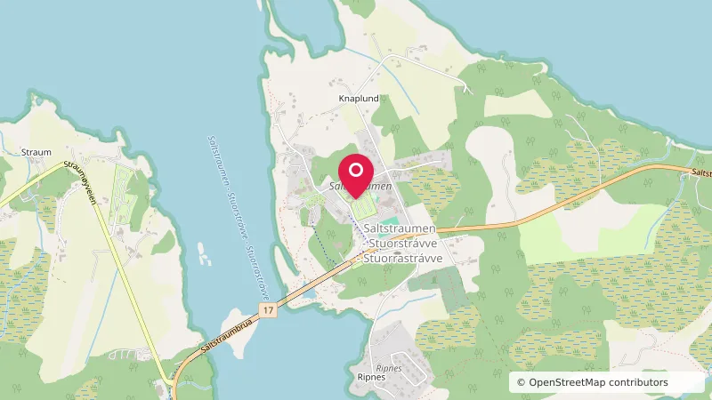 Saltstraumen Camping
