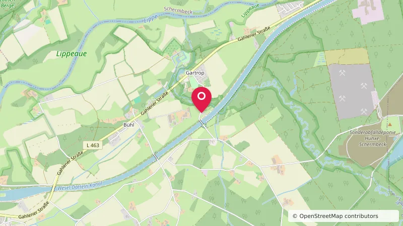 Schepers Linde