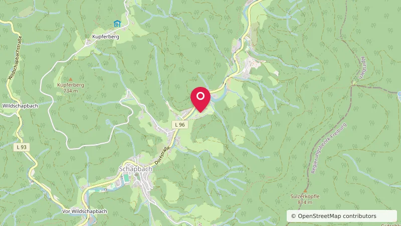 Schwarzwald-Camping Alisehof