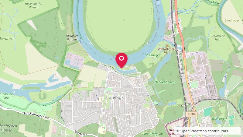 Seesportverein Dessau e.V.