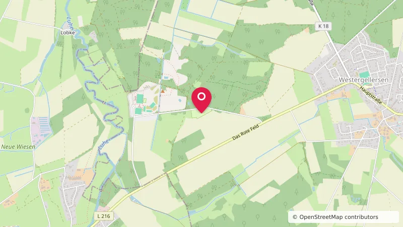 Stellplatz Westergellersen