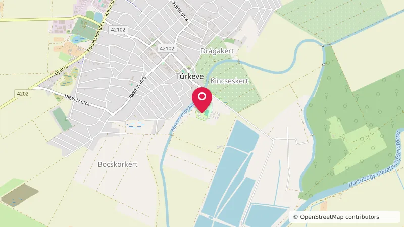 Termál Kemping (gyógy- és strandfürdő)