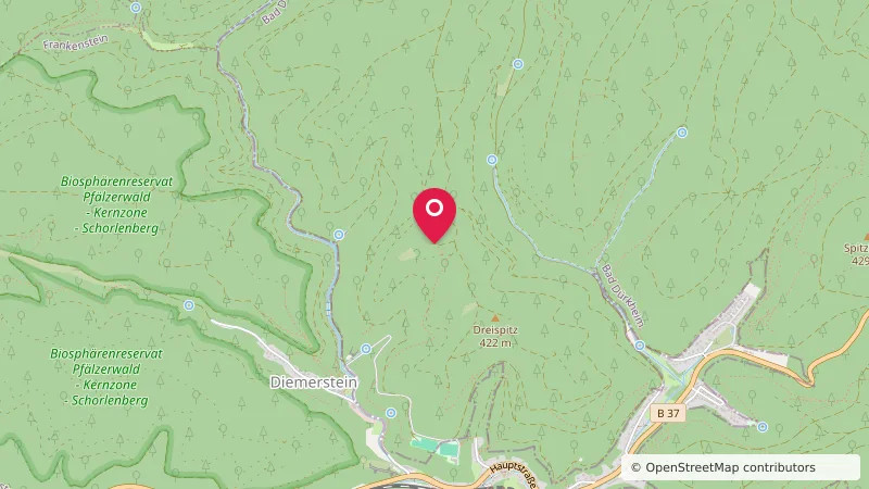 Trekking Pfalz: Frankenstein