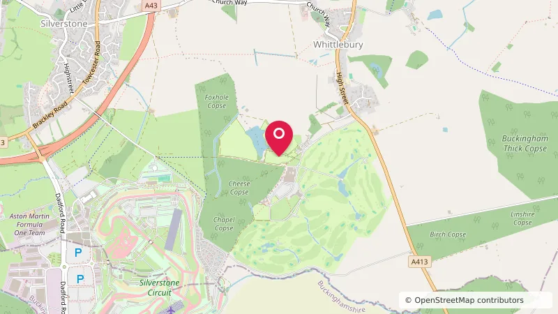 Whittlebury Park - Copse