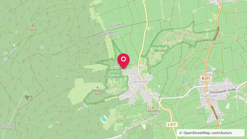 Wohnmobilstellplatz am Weingut Hanewald-Schwerdt