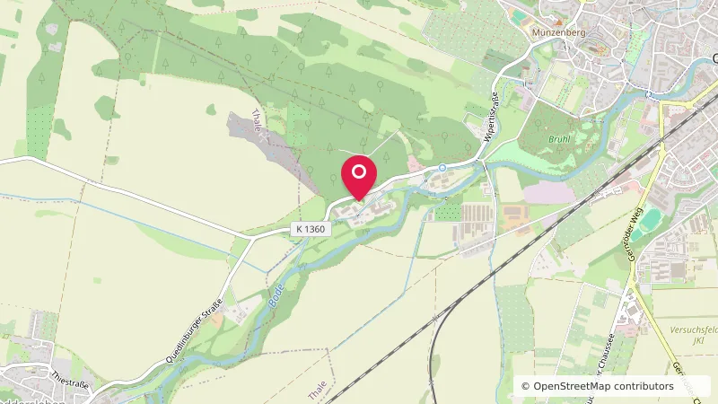Wohnmobilstellplatz An der Koppel zwischen Bäumen in Quedlinburg