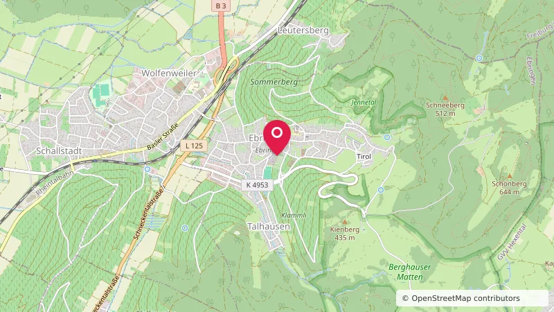 Wohnmobilstellplatz Ebringen