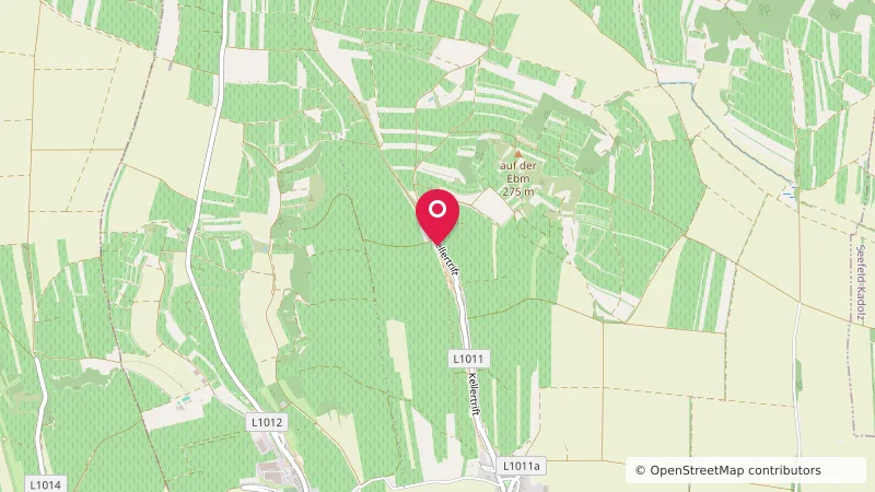 Wohnmobilstellplatz Hadres