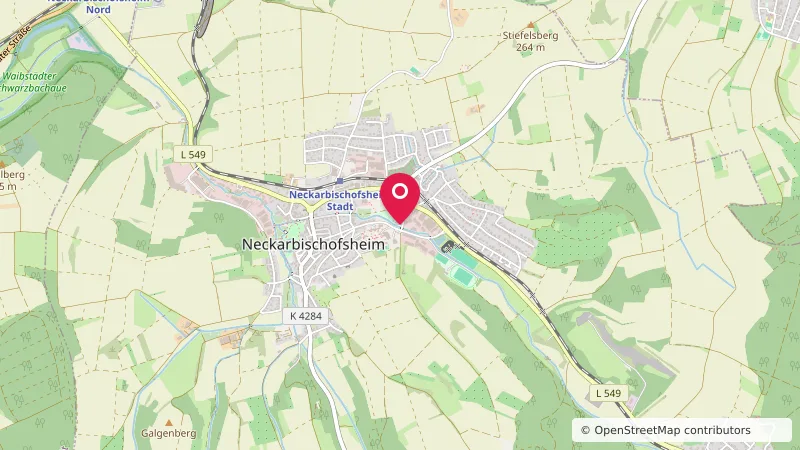 Wohnmobilstellplatz Neckarbischofsheim