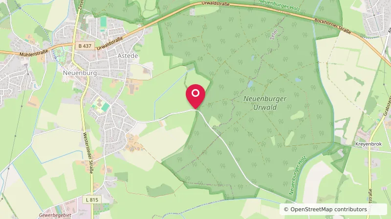 Wohnmobilstellplatz Neuenburger Urwald